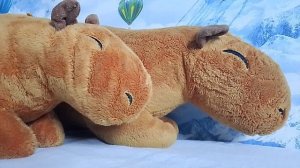 я куда-то попал