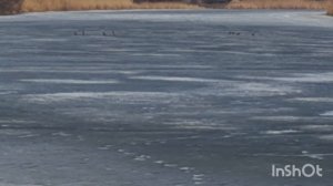 Весна идёт💥.На реке Торгун.💥Первая зелень.☘️☘️☘️🌷🌷🌷