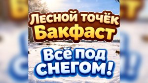 Лесной точёк Бакфаст☀️ Всё под снегом!