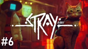 #Stray 6. ГЛАЗА ПОВСЮДУ!