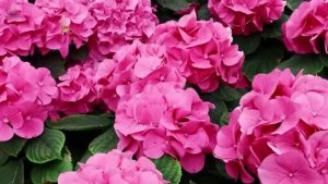 СБОРНИК   КРАСИВОЙ  ИНСТРУМЕНТАЛЬНОЙ  МУЗЫКИ  для  ДУШИ. РЕЛАКС.