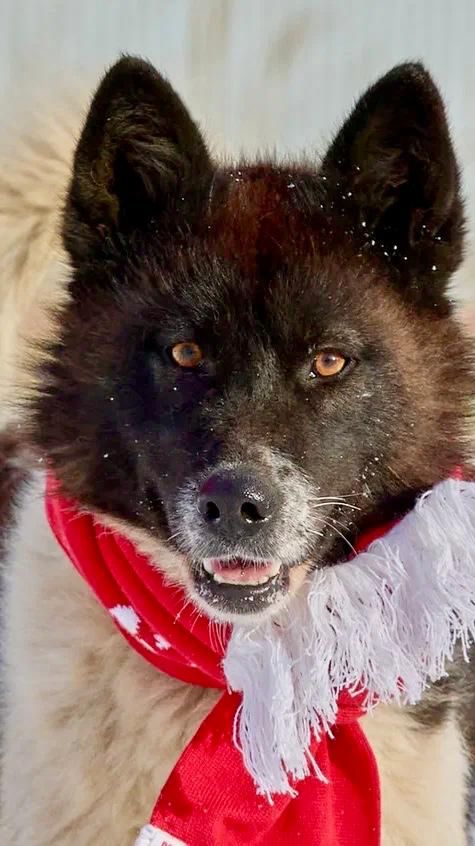 Её прошлое - боль, её будущее - надежда. Мирра ждёт ВАС!