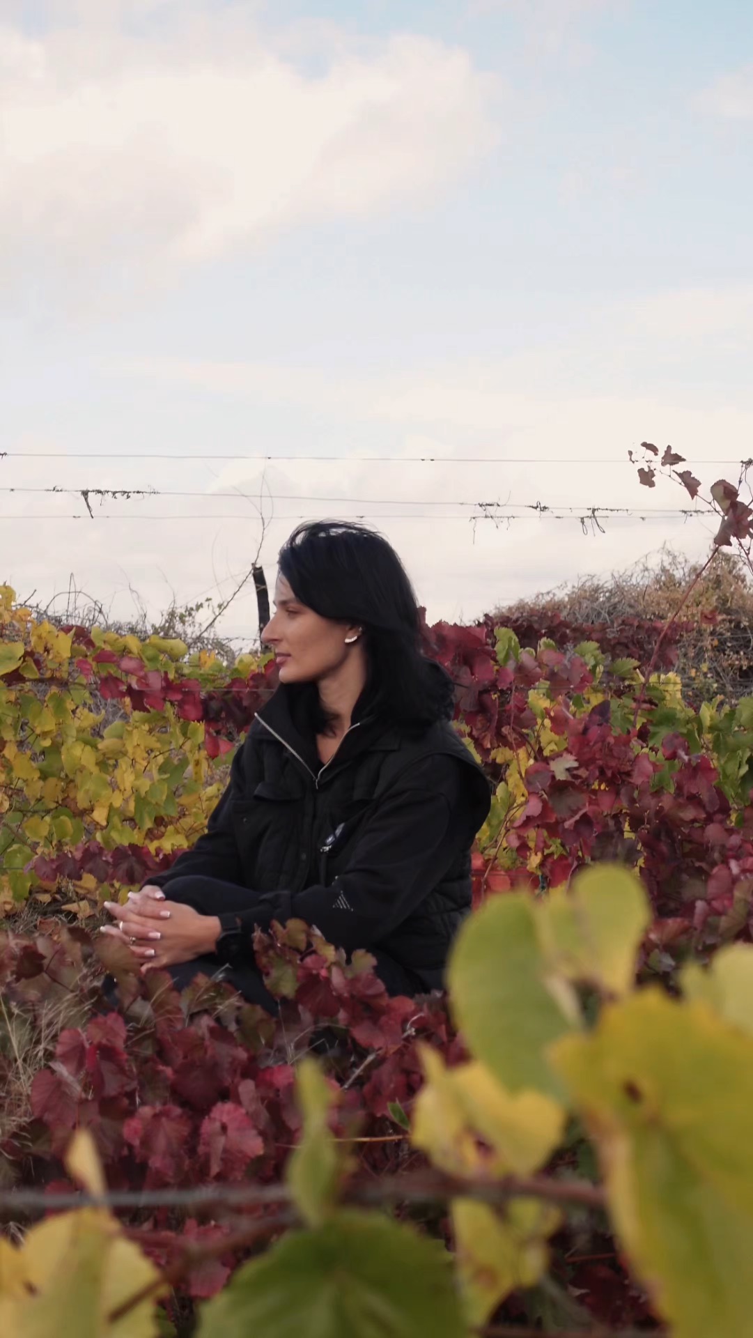 винодела снижают урожайность