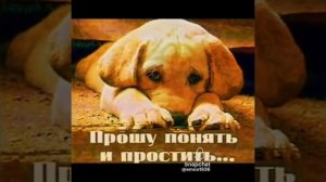 Давай мириться?... Пожалуйста...