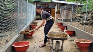 Линь соорудила место для цветочных горшков перед воротами, ведущими в дом. «Спокойная жизнь»