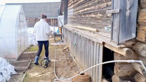 "Любимый деревенский дом: Работы в саду, открываем голубику и снимаем остатки старой обшивки с дома!