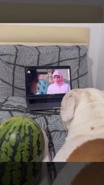 Абсолютно бесчеловечно