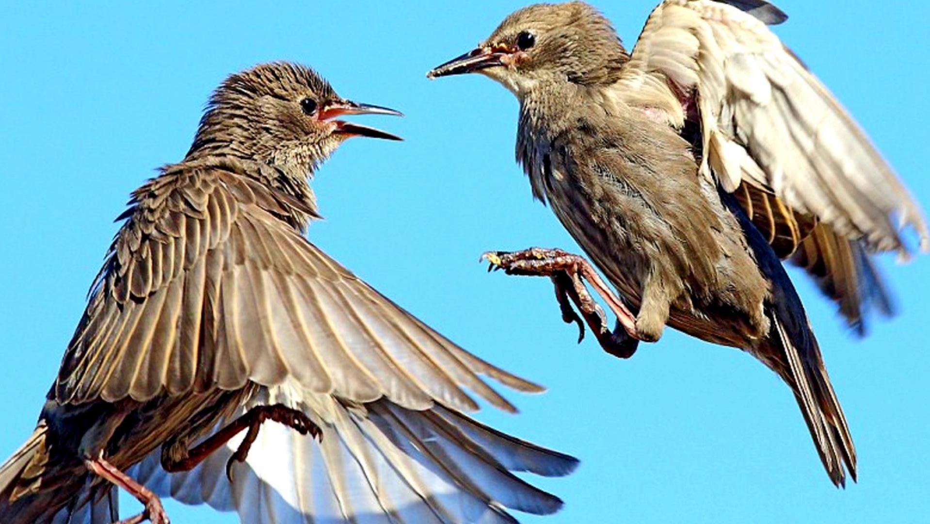 Народные праздники в апреле с 6 по 10