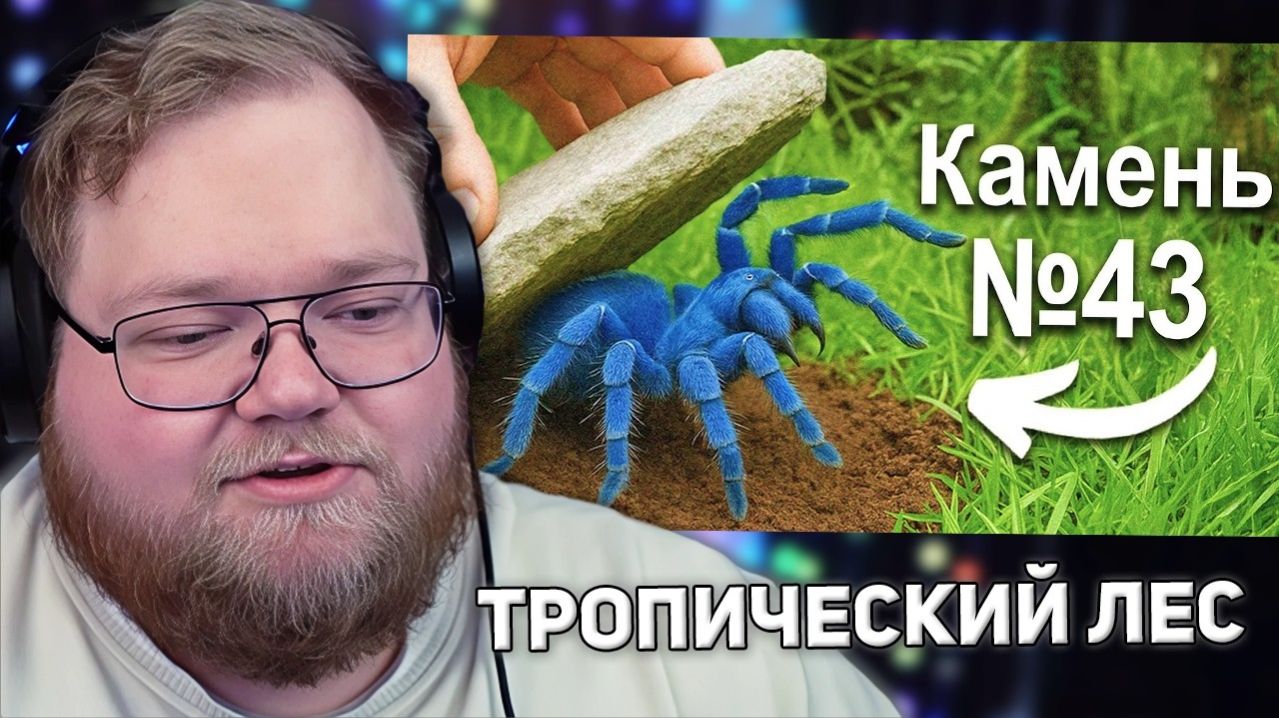 Я Перевернул 100 Камней b Тропическом Лесу, Вот Что Я Нашёл... | РЕАКЦИЯ T2X2