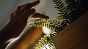 Odnono – «Живой» (mood-видео)