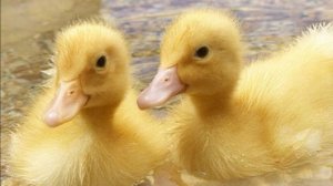 Аплодирую стоя👏🏻👏🏻👏🏻👏🏻👏🏻👏🏻