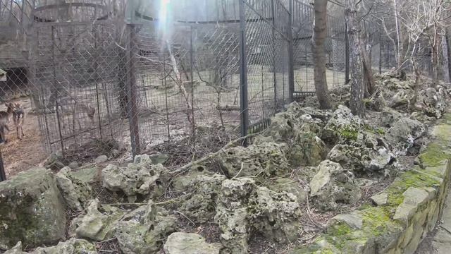 СКАЗКА - зоопарк Олега Зубкова в ЯЛТЕ.  Обезьяны и жираф попрятались от холода. 2 - я часть.