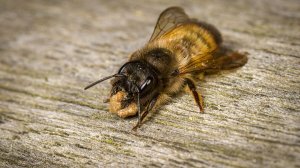 ОСМИИ# ПОЧЕМУ# ДЛЯ ЧЕГО# КАК#