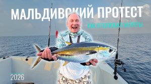 Мальдивский протест. Как я полюбил запреты. История путешествия и рыбалки на Мальдивах
