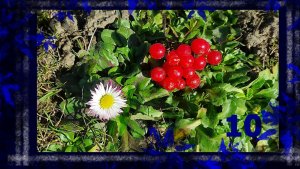 Быт 10-й эпизод.  Дача. Последний снег. Синий лёд.   #болталка #прогулка #весна