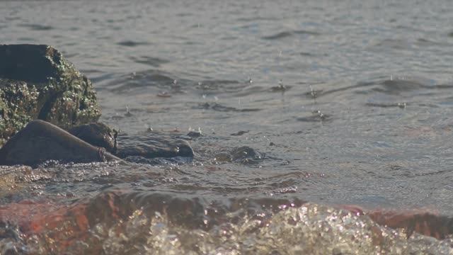 Красоты Санкт-Петербурга №1