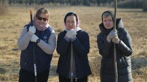 Оттенки прекрасного