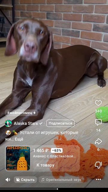 милота без сдыта 😁👌