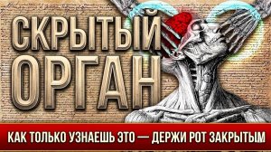 Они Никогда Не Хотели, Чтобы Вы Использовали Этот Орган — Он Управляет Вашей Реальностью Без Мифов✅