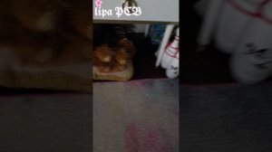 Я̥ т̥е̥п̥е̥р̥ь̥ ПДБ😜ж̥д̥и̥т̥е̥ в̥л̥о̥г̥ в̥ к̥и̥н̥о̥т̥е̥а̥т̥р̥е̥😌