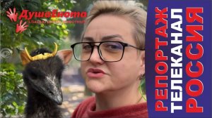 Душа Енота. репортаж. Телеканал РОССИЯ