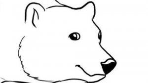 шо такое дАбрАта