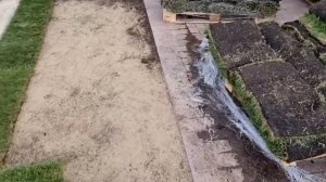 Благоустройство участка у дома, Укладка рулонного газона, Монтаж автополива в Оренбурге