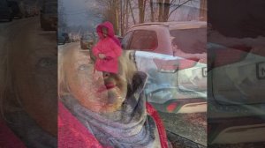 Девушка за рулём *Яков Кирсанов