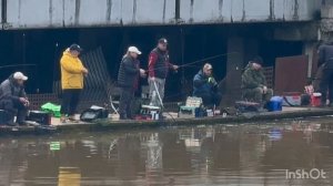 Поимки до запуска.