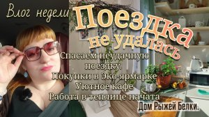 Спасаем неудачную поездку. Покупки в эко-ярмарке. Уютное кафе. Работа в теплице начата.
