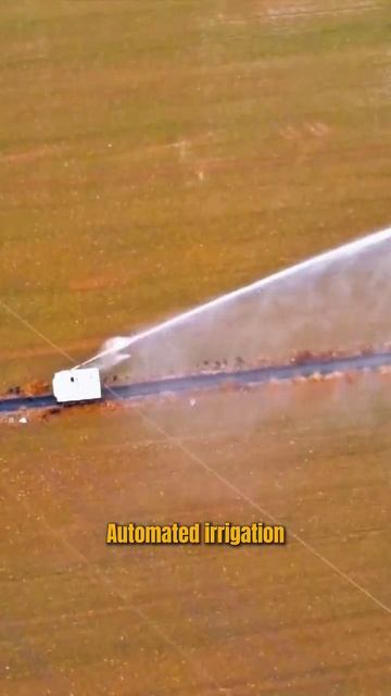 🌾Китай развивает сельское хозяйство будущего