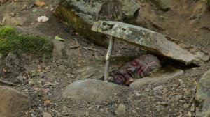 Я прожил семь дней, используя примитивные методы / Необычные способы ловли рыбы !