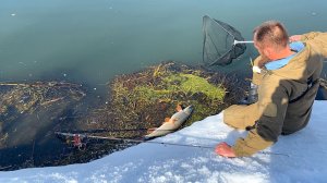 ОФИГЕТЬ!!! ВОДА ОТКРЫЛАСЬ... В РУЧЬЕ ПОЛНО КРУПНОЙ РЫБЫ. Рыбалка на спиннинг.