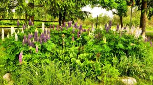 Немного лирики