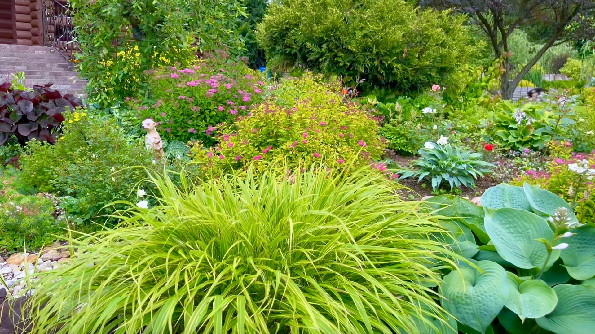 Многолетние растения с линеиными и мечевидными листьями в дизаине сада.