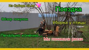 29-03-2026 /Из Сибири на юг/Печально/Жалко/Поездка/Обзор покупок/Уборка, переезд/Парочка поселилась/