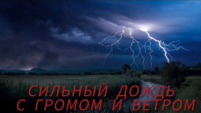 СИЛЬНЫЙ ДОЖДЬ С ГРОМОМ И ВЕТРОМ