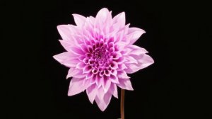 Ростовская неделя моды 17-19 апреля 2026