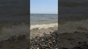 Красота | Лето | Пляж | Природа