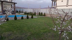 Прогулка по участку 28 марта 2026 г.