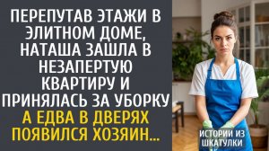 Истории из жизни Перепутав этажи в элитном доме, Наташа зашла в незапертую квартиру и начала уборку…