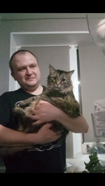 Сырок или котлету? #кот #няшныекоты #юмор