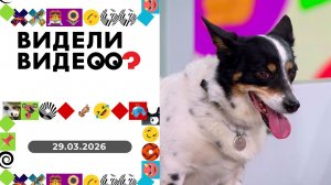 Видели видео? Выпуск от 29.03.2026