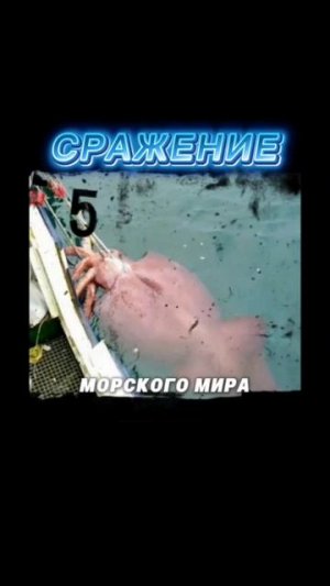 Сражение