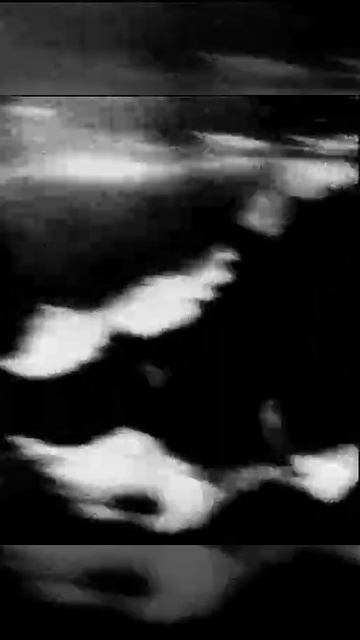 Эдит крокодил