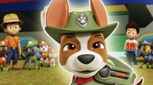 Щенячий патруль большой сборник мультфильма