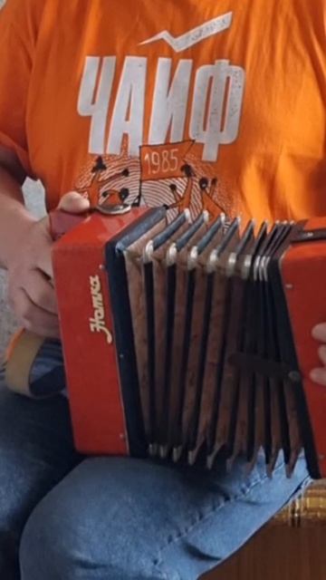 Белые розы на детской гармошке.