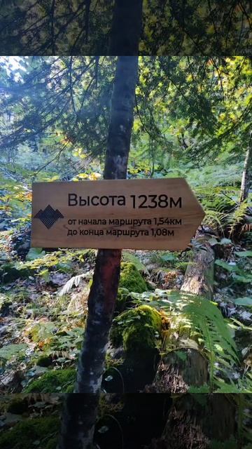 Абхазия тропа озеро малая Рицца смотреть онлайн