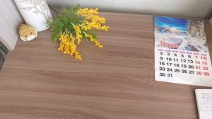 СП " Вяжем играя" с Еленой Велиной. Финиш 24 тура