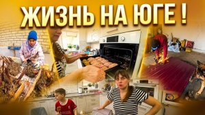 ЖИЗНЬ НА ЮГЕ 2026.  ДЕЛАЕМ КАЛИТКУ, САЖАЕМ КАННЫ.  Из города в деревню — 906 серия